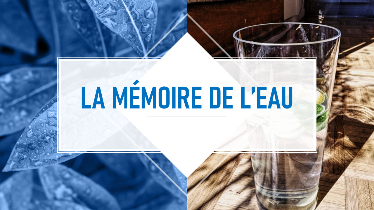 La mémoire de l'eau et des 5 éléments.
