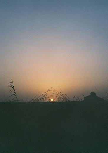 SOLSTICE : OMBRE ET LUMIÈRE