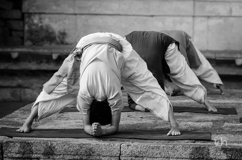 Angamardana Cairo - Yogic Fitness - 9 and 10 May