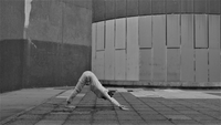 Surya Shakti - Dimanche 7 Septembre - Décupler l'énergie à la suite de Surya Kriya